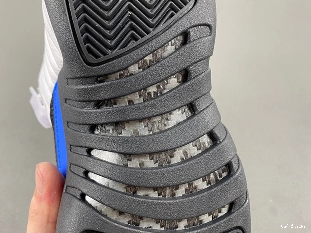 Jordan Trendsetting 12 CT8013- Air 3860 732 0618